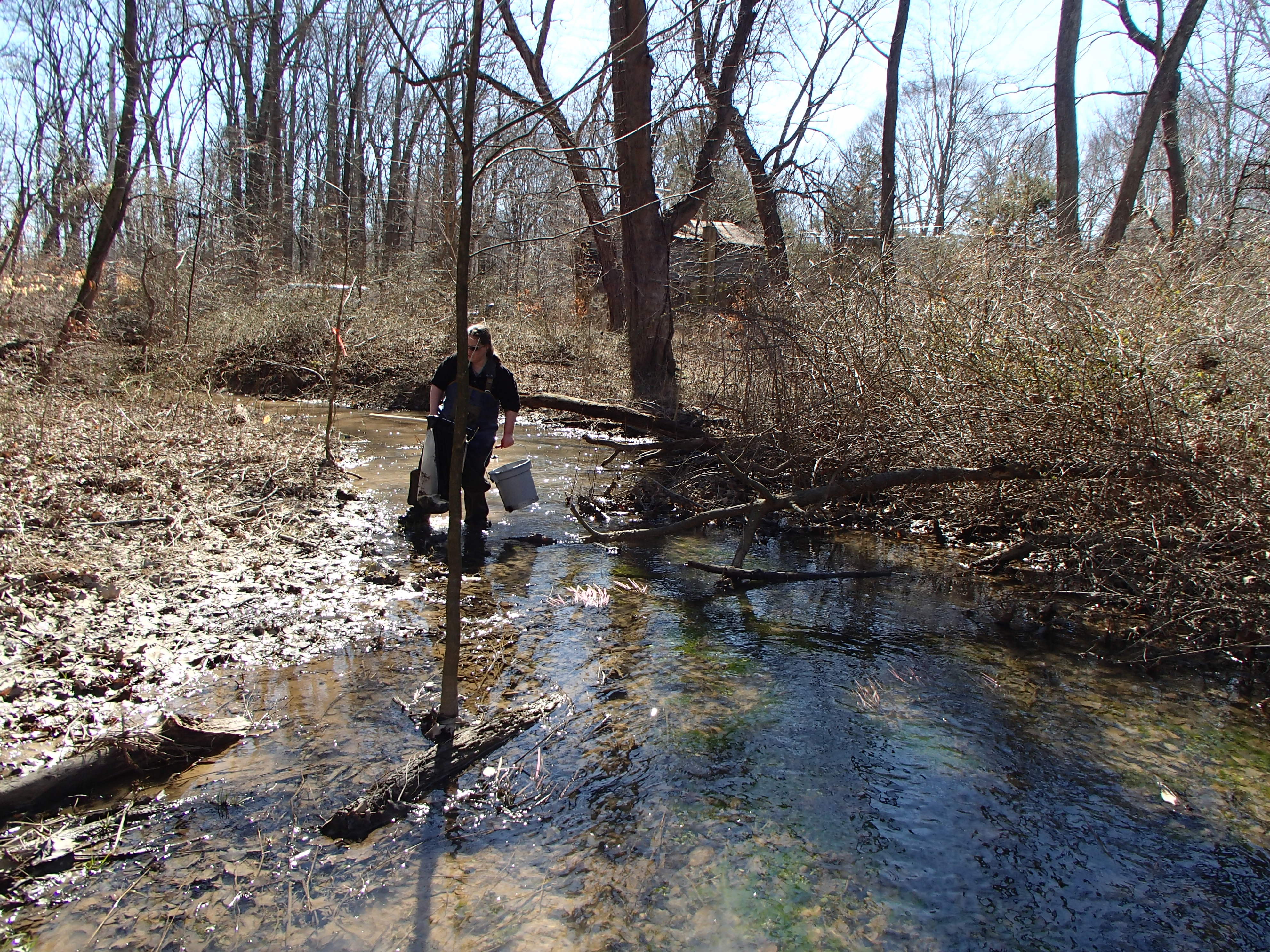 Field photo showing stream conditions at site WEST-108-X-2016_midpoint looking downstream